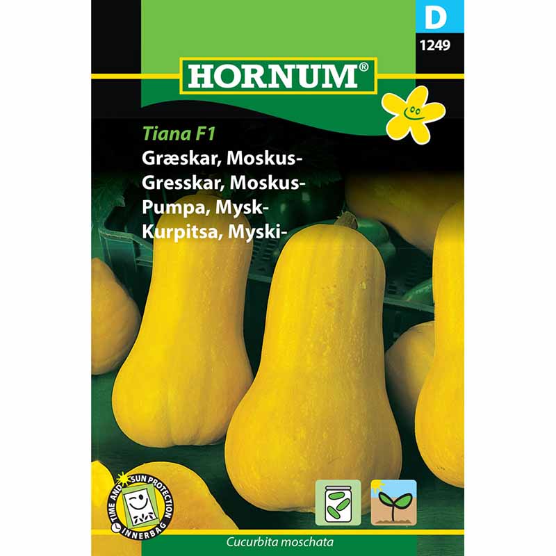 Moschuskürbis 'Tiana' F1