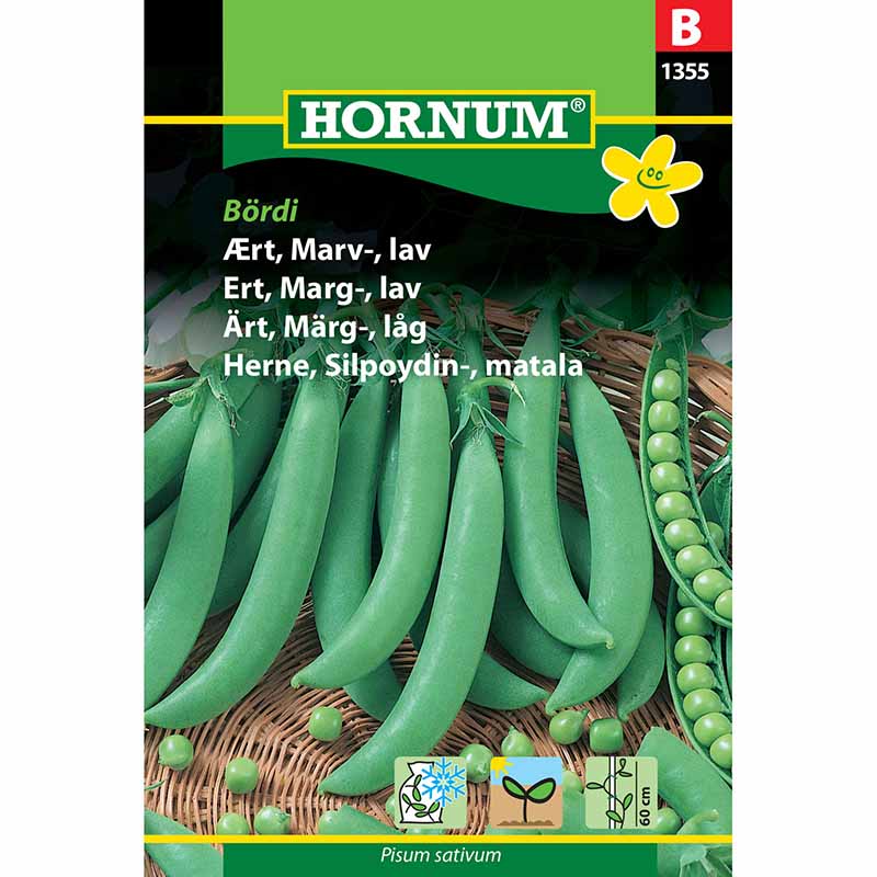 Markerbse 'Bördi'