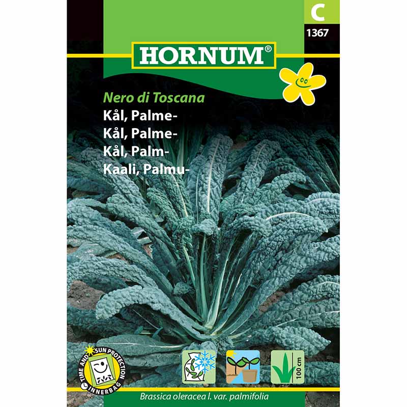 Schwarzkohl 'Nero di Toscana'