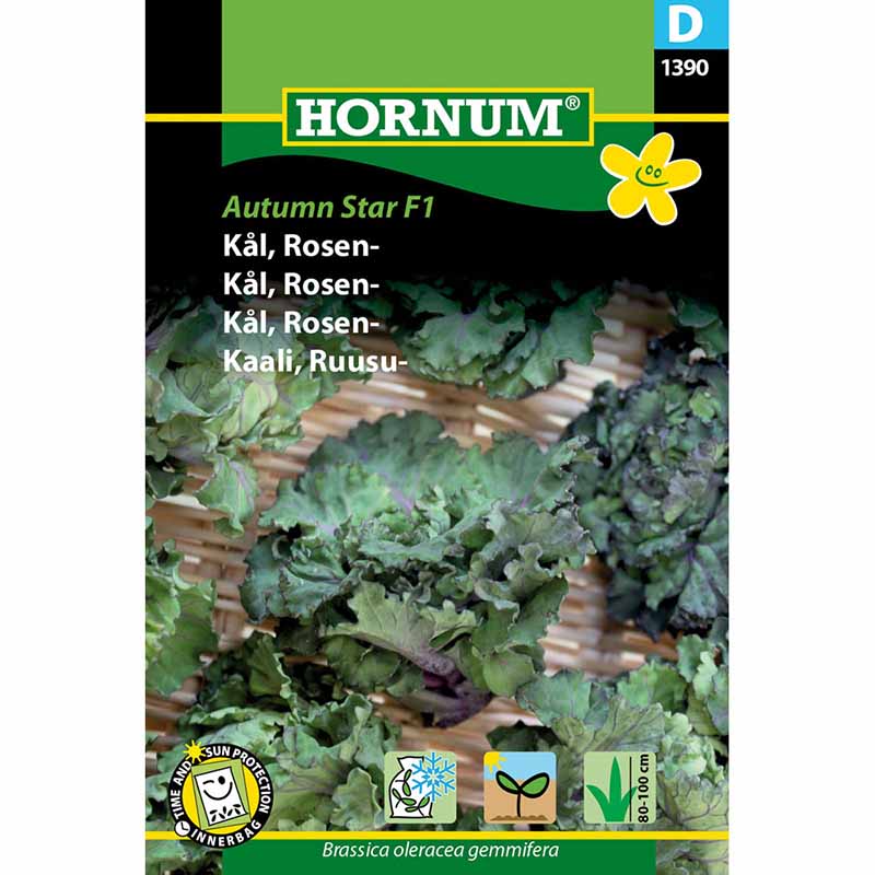 Rosenkohl 'Autumn Star' F1