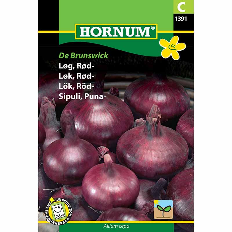 Rote Zwiebel 'Braunschweiger Dunkelblutrote'