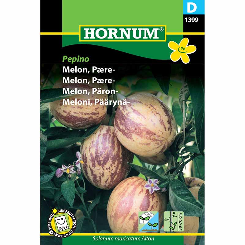 Melone 'Pepino'