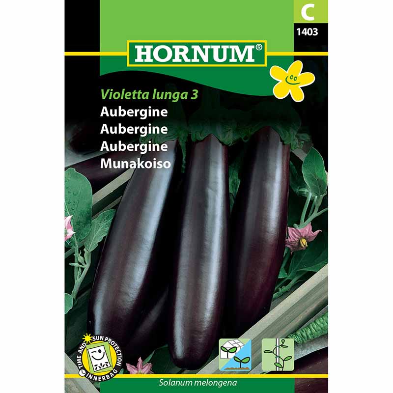 Aubergine 'Violetta lunga 3'