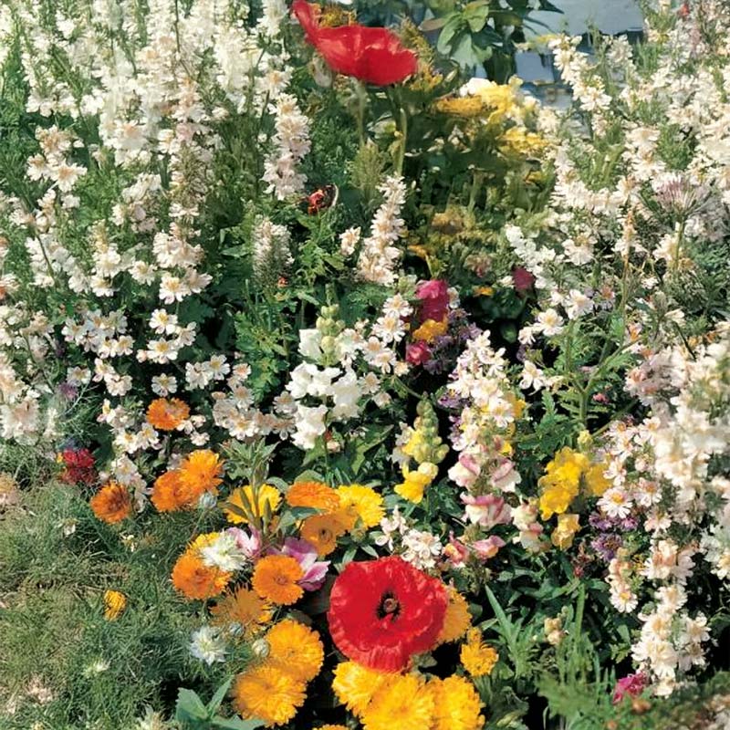 Blumenmischung Romantik