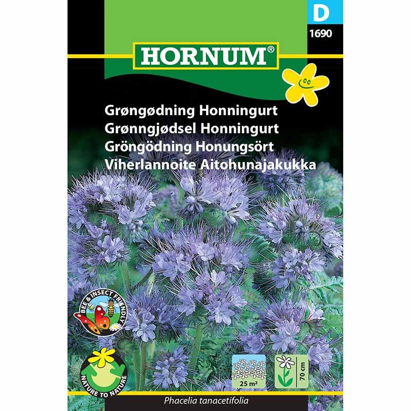 Gründüngung Phacelia