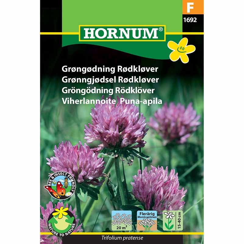 Gründüngung Rotklee