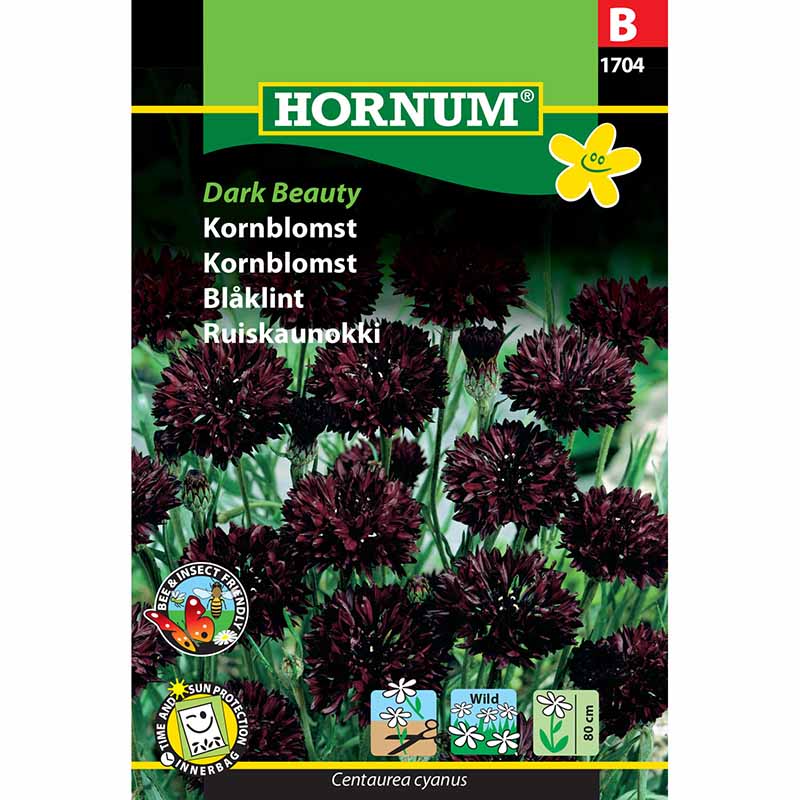 Kornblume 'Dark Beauty'