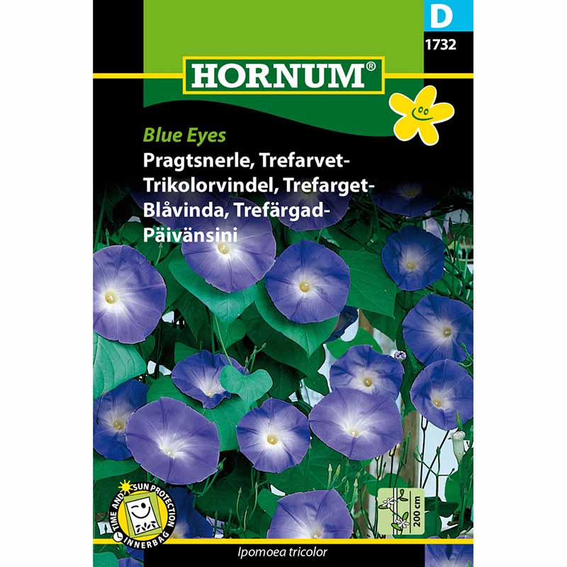 Dreifarbige Prunkwinde 'Blue Eyes'