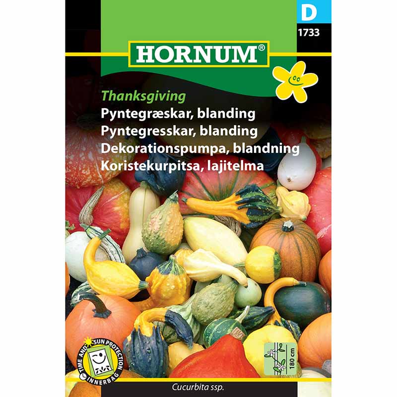 Zierkürbis 'Thanksgiving'