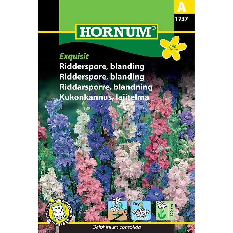 Rittersporn 'Exquisit'