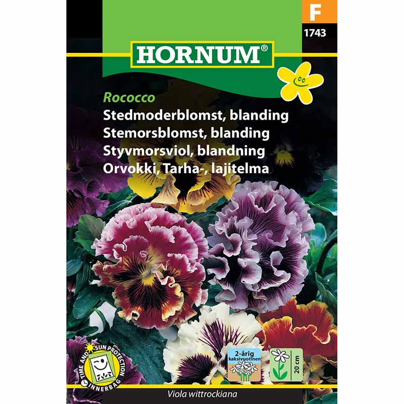 Stiefmütterchen 'Rococco'