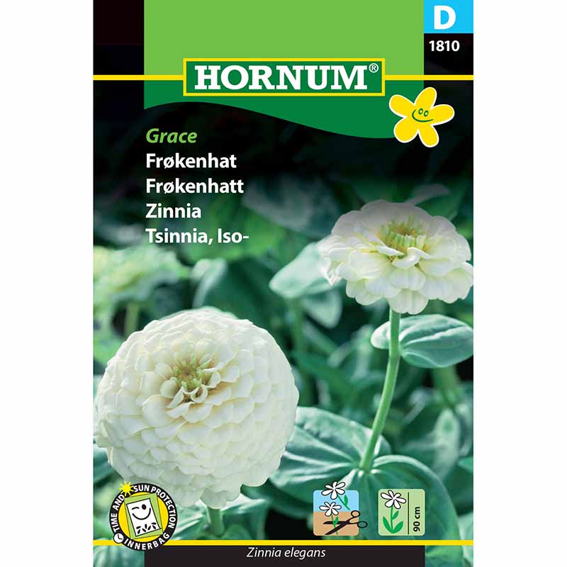 Zinnie 'Grace'