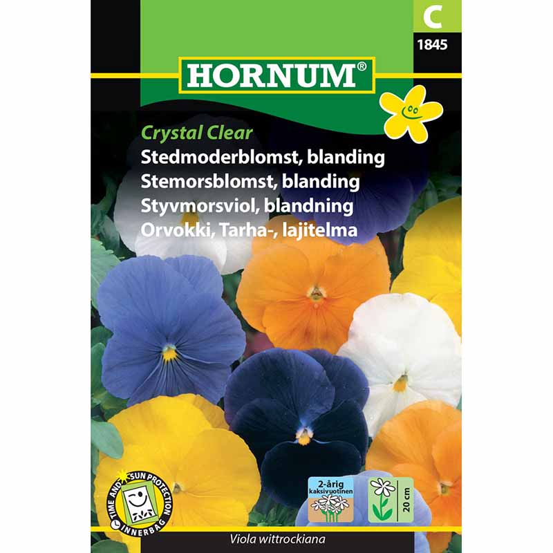 Stiefmütterchen 'Crystal Clear'