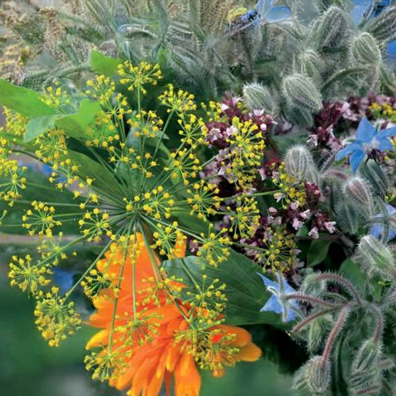 Bienen- und Blumenmischung