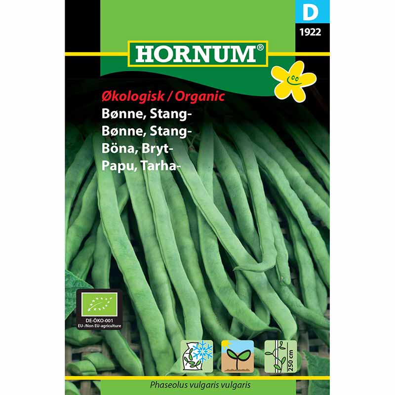 Buschbohne 'Neckarkönigin'