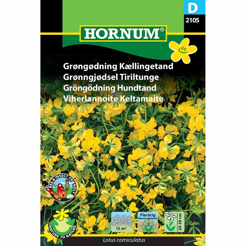 Gründüngung Hundszahn