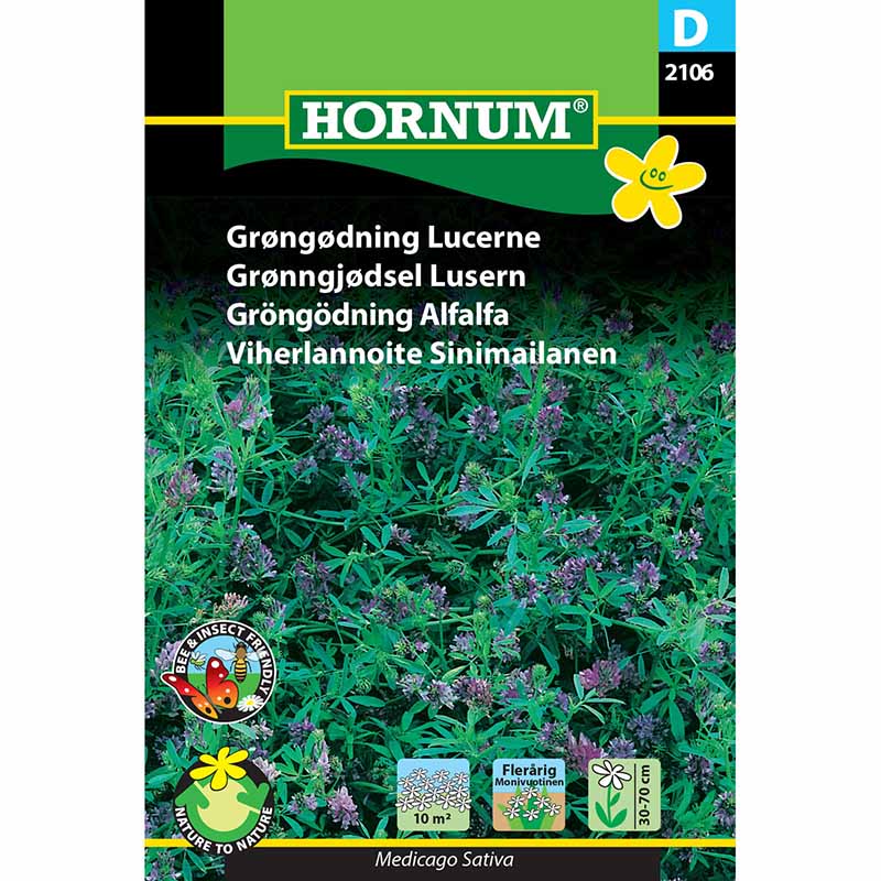 Gründüngung Luzerne