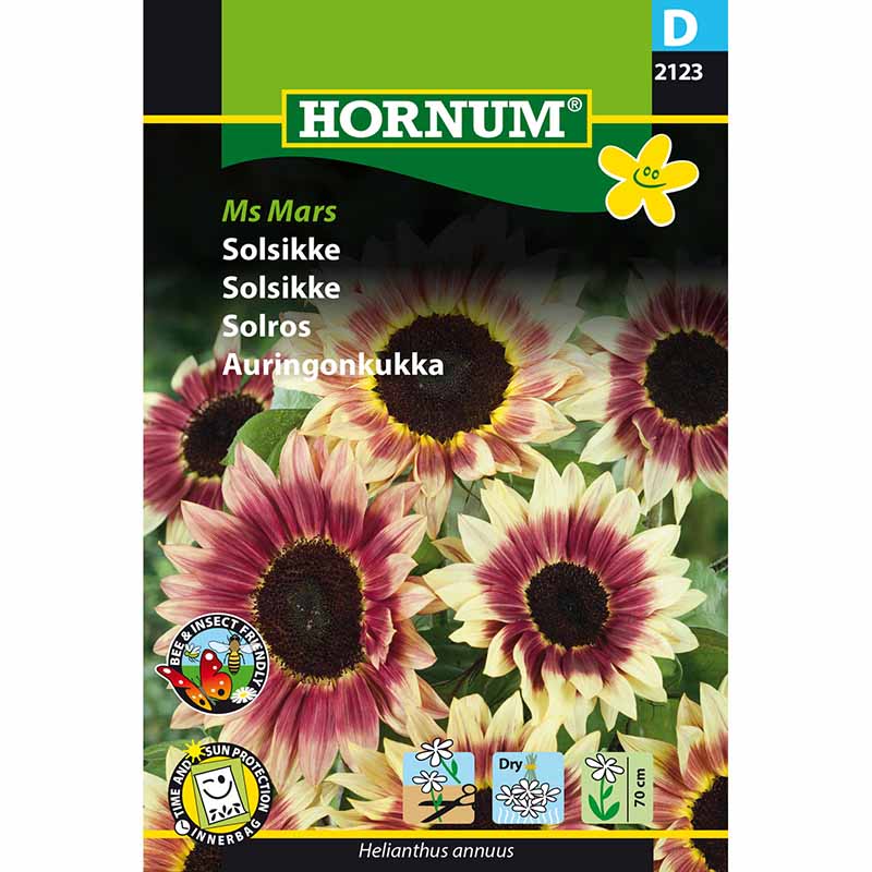 Sonnenblume 'Ms Mars'