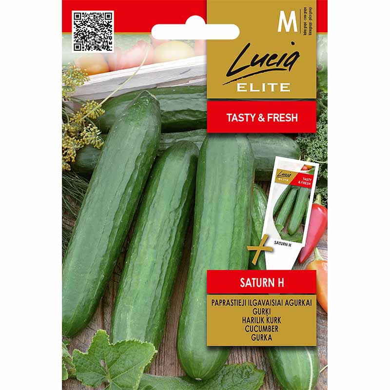 Salatgurke 'Saturn' F1