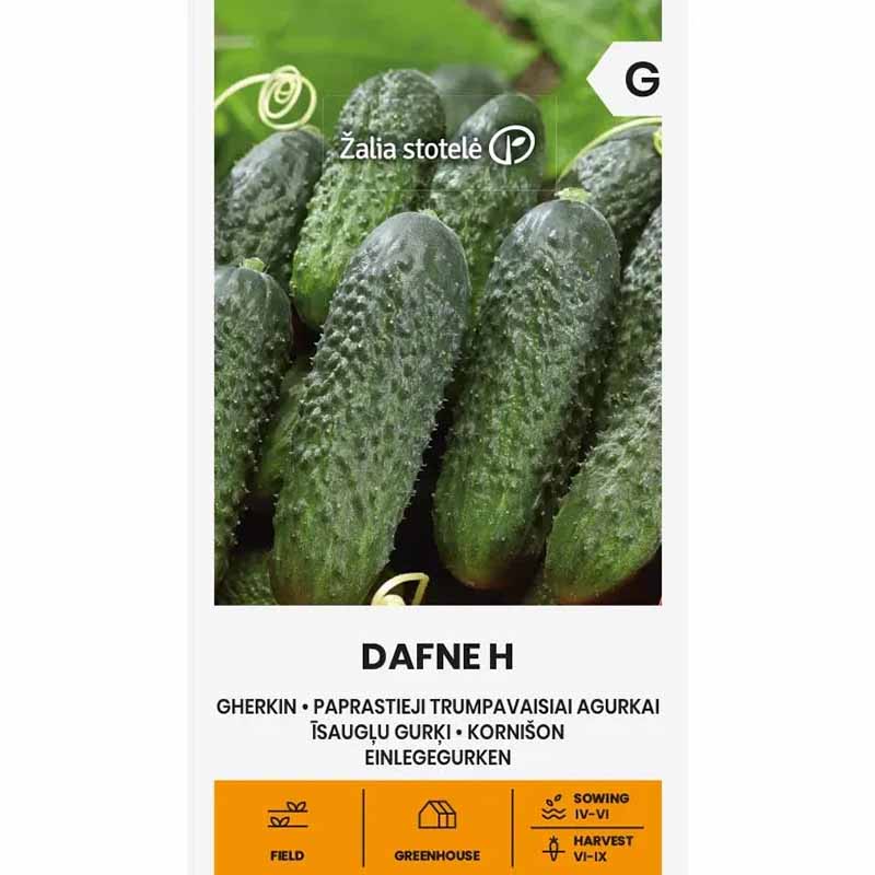 Freilandgurke 'Dafne' F1