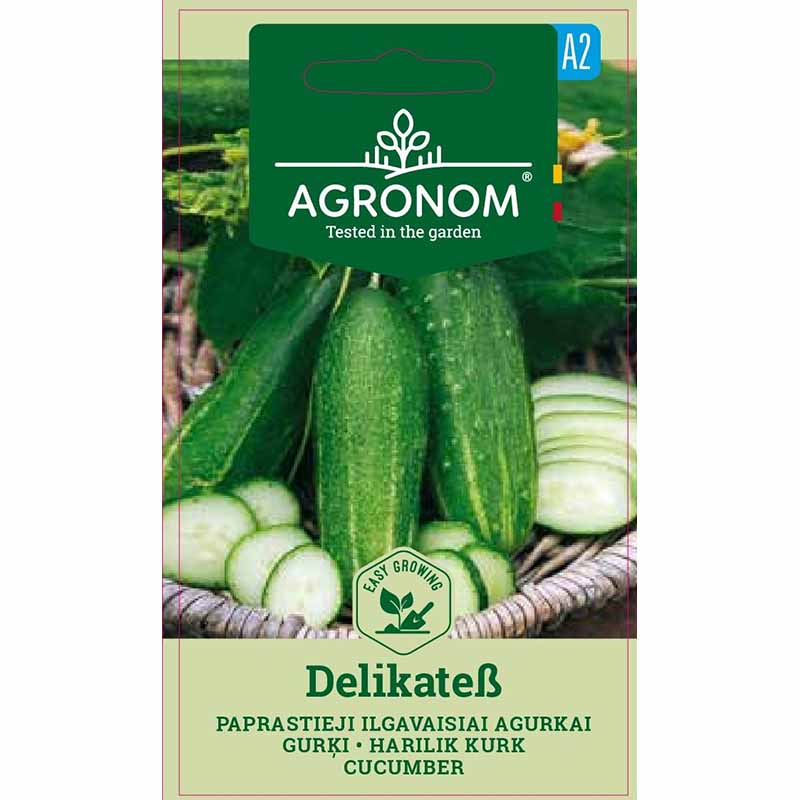 Gewächshausgurke 'Delikatess'