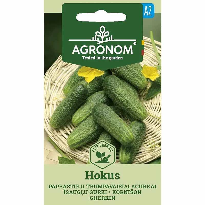 Gurke 'Hokus'