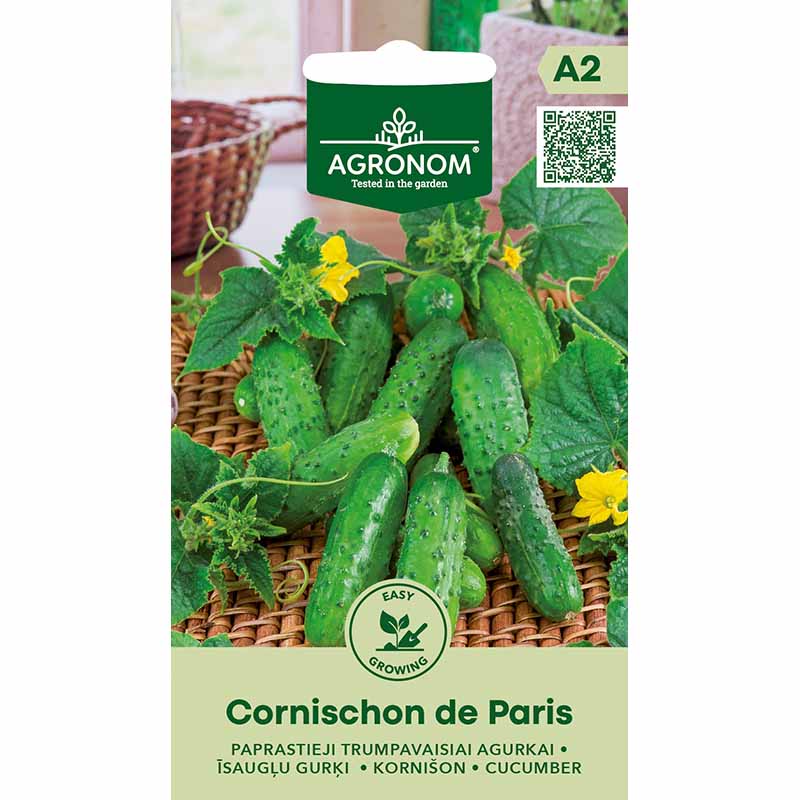 Gurke 'Cornichon de Paris'
