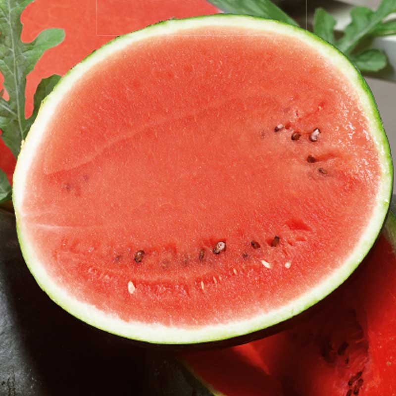 Wassermelone 'Sugar Baby'
