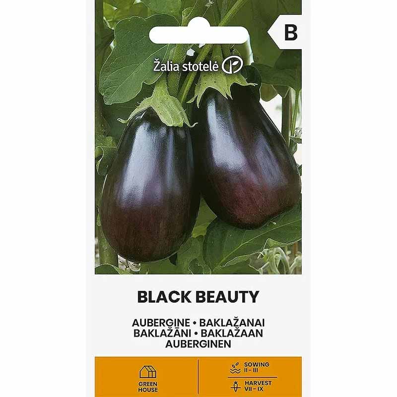 Aubergine 'Black Beauty'