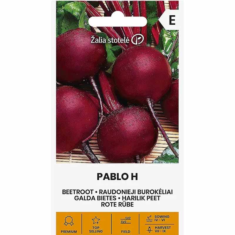 Rote Bete 'Pablo' H