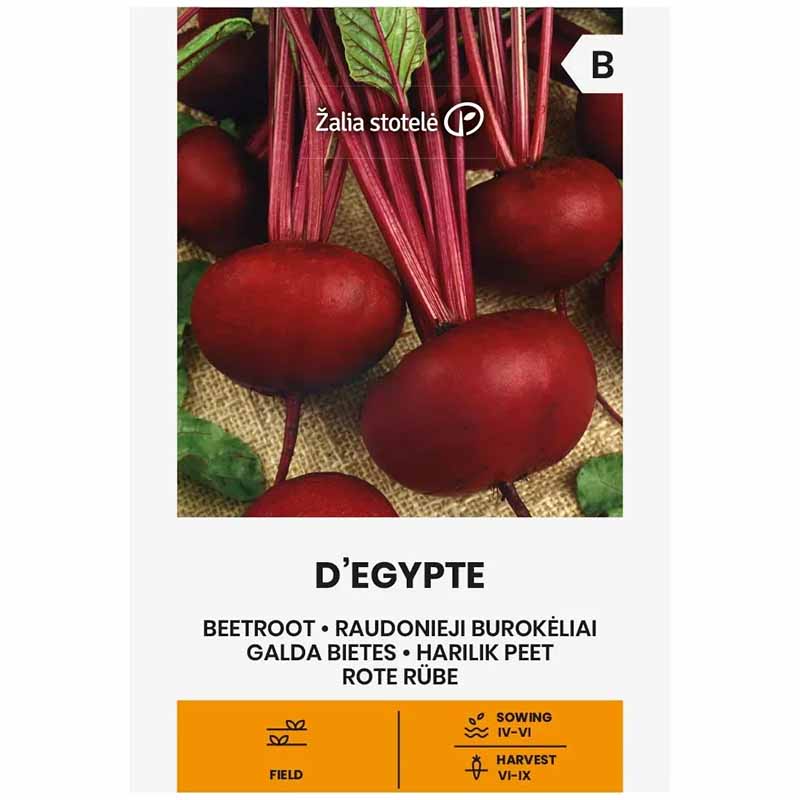 Rote Bete 'D'Egypte'