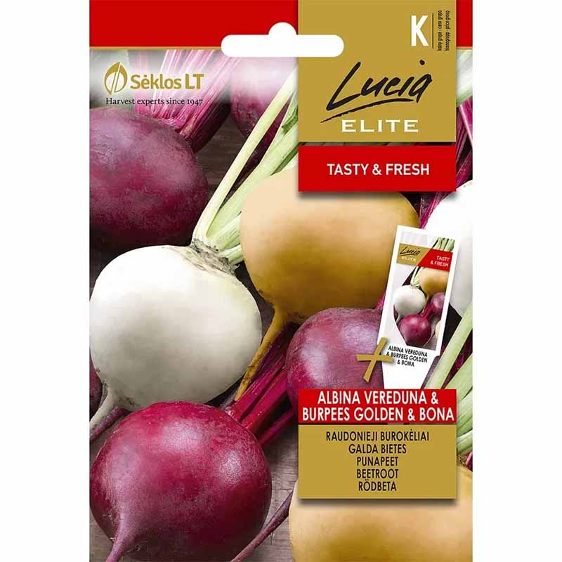 Rote Bete Mischung 'Albina Vereduna, Burpees Golden, Bona'