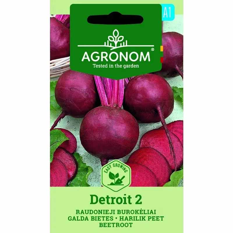 Rote Bete 'Detroit 2'