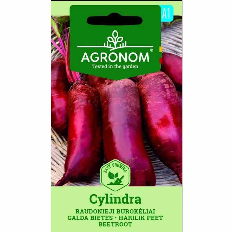 Beetroot 'Cylindra'
