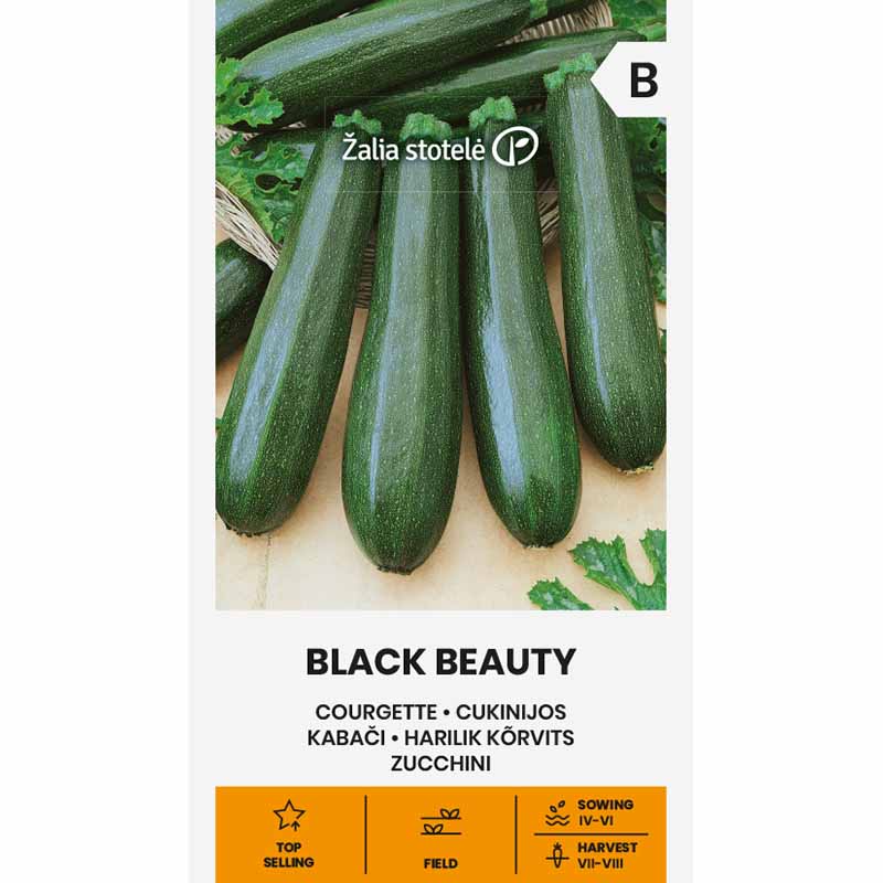 Zucchini 'Black beauty'