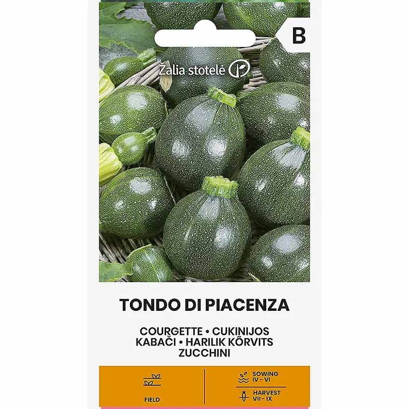 Zucchini 'Tondo di piacenza'