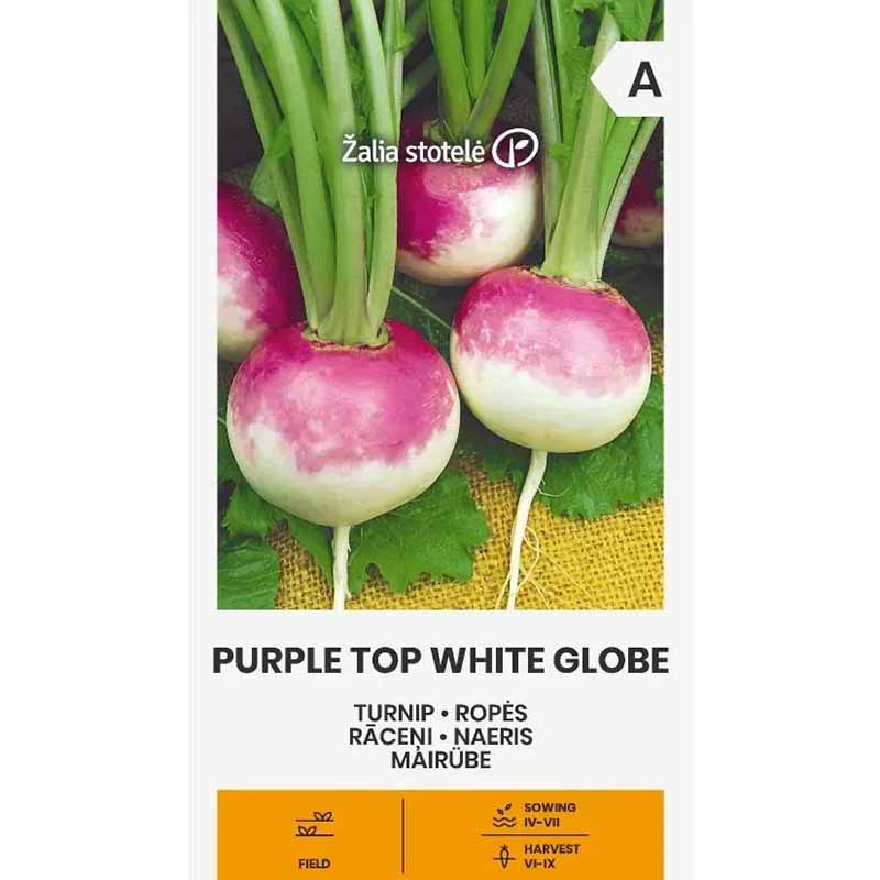Mairübe 'Purple Top White Globe'