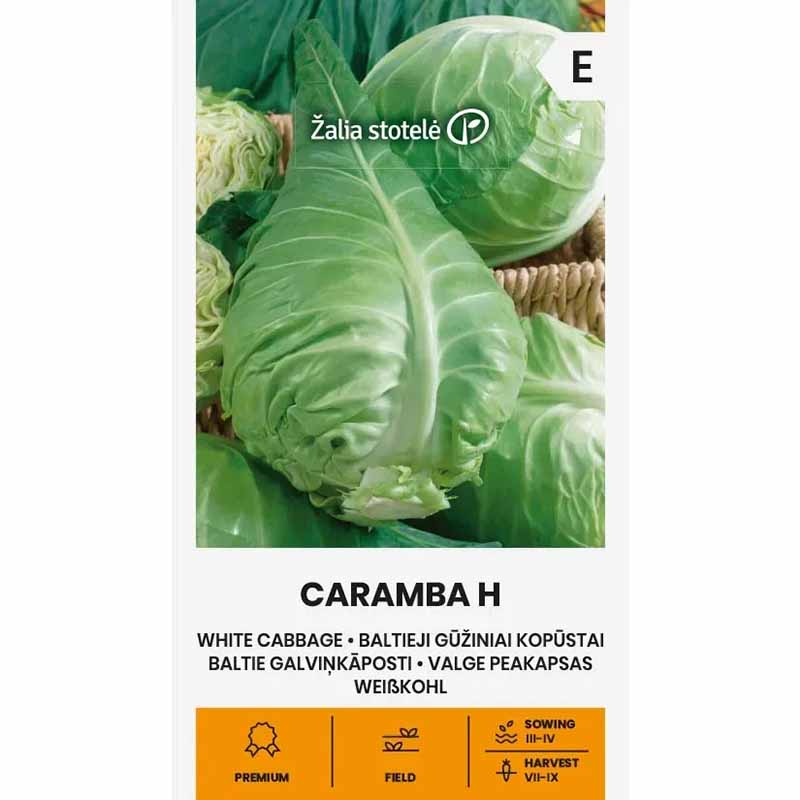Weißkohl 'Caramba' H