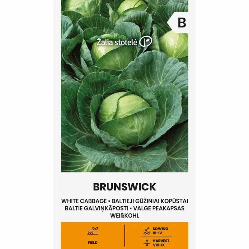 Weißkohl 'Brunswick'