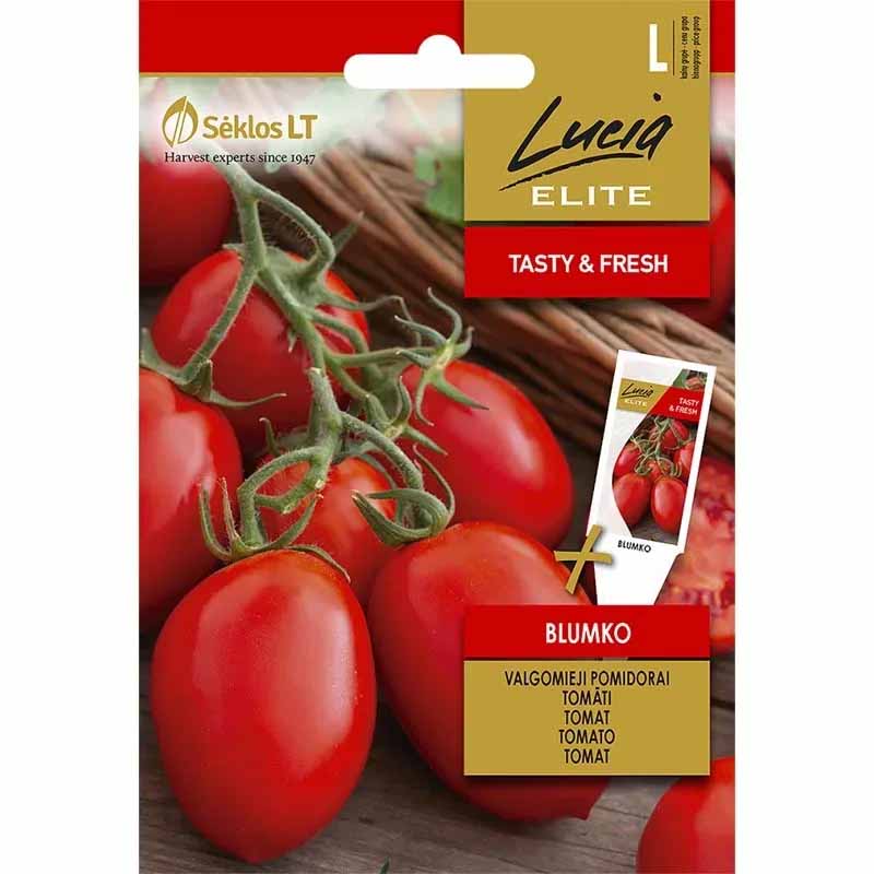 Tomate 'Blumko' H