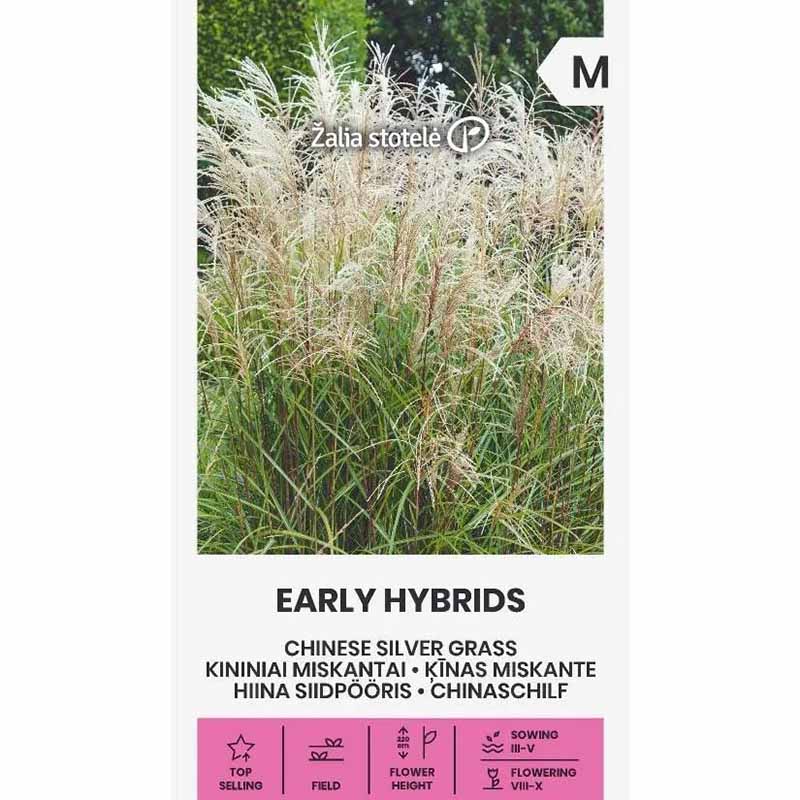 Chinaschilf 'Early Hybrids'