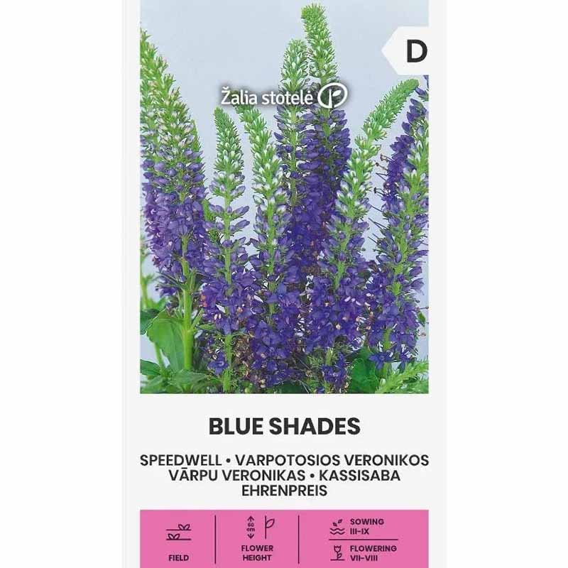 Ehrenpreis 'Blue Shades'