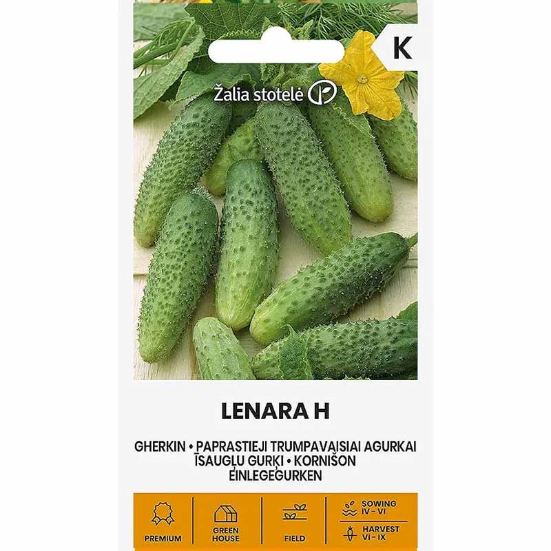 Freilandgurke 'Lenara' F1