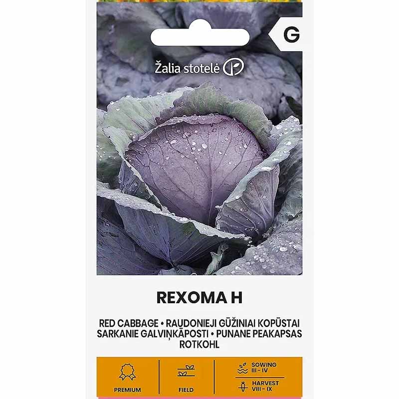 Rotkohl 'Rexoma' h