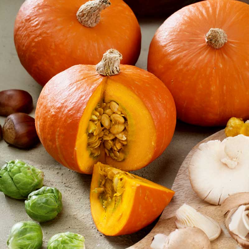 Kürbis 'Gold nugget'