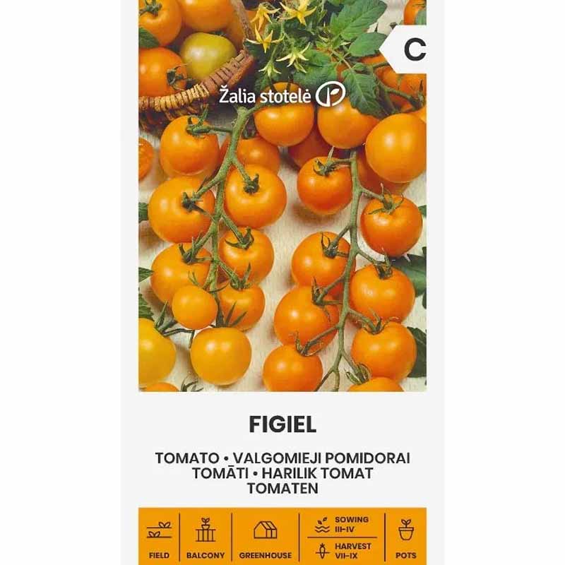 Tomate 'Figiel'