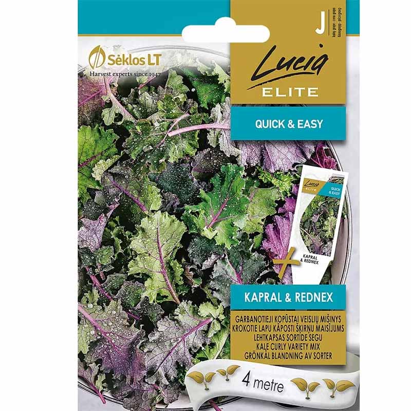 Grünkohlsblandning 'Kapral & Rednex'