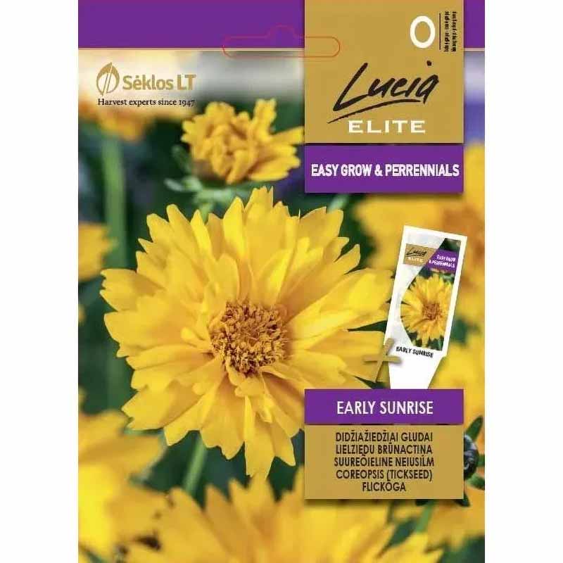 Mädchenauge 'Early Sunrise'