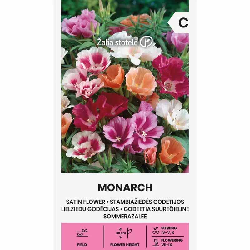 Seidenblume 'Monarch'