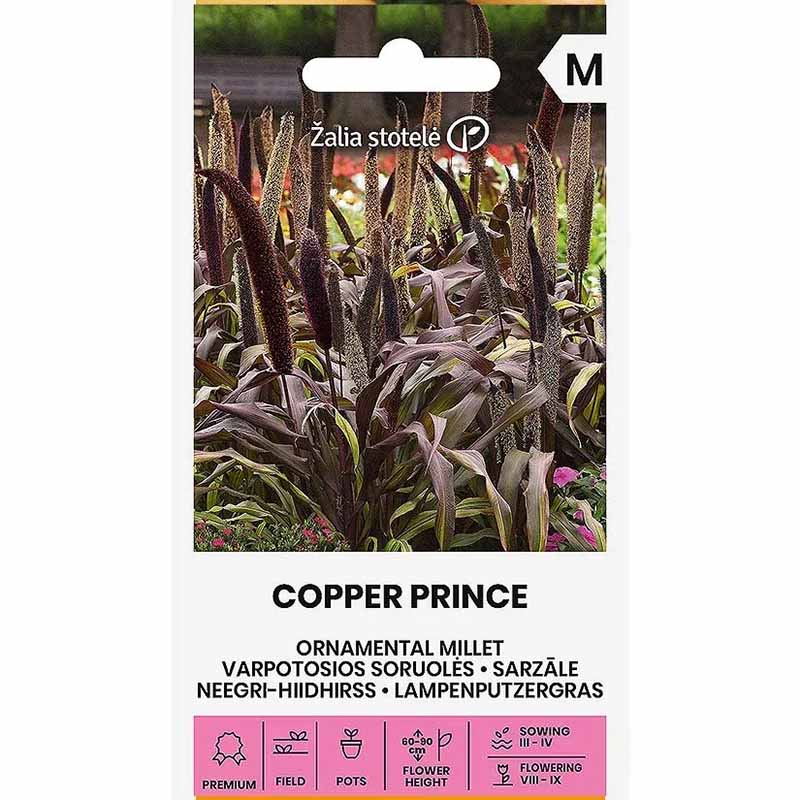 Perlhirse 'Copper Prince' h